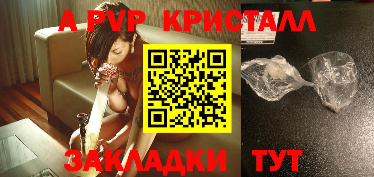 Альфа ПВП СК КРИС Ростов Великий