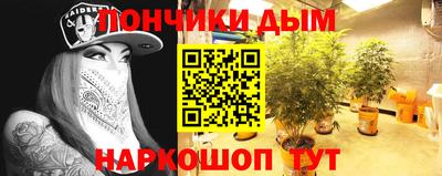 гидра Нальчик