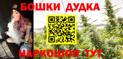 гидра Нальчик