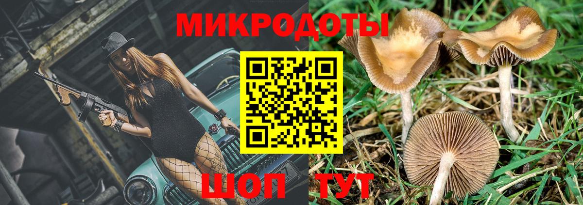 Ростов Великий  Псилоцибиновые грибы мицелий  Вход с VPN 